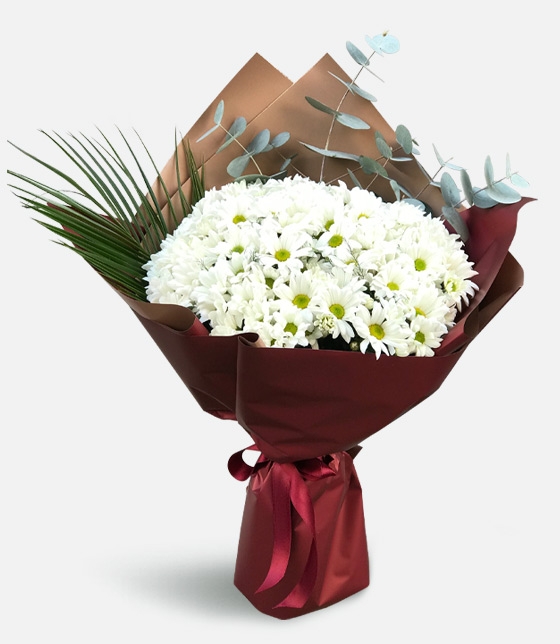 PAPATYA DEMETÝ